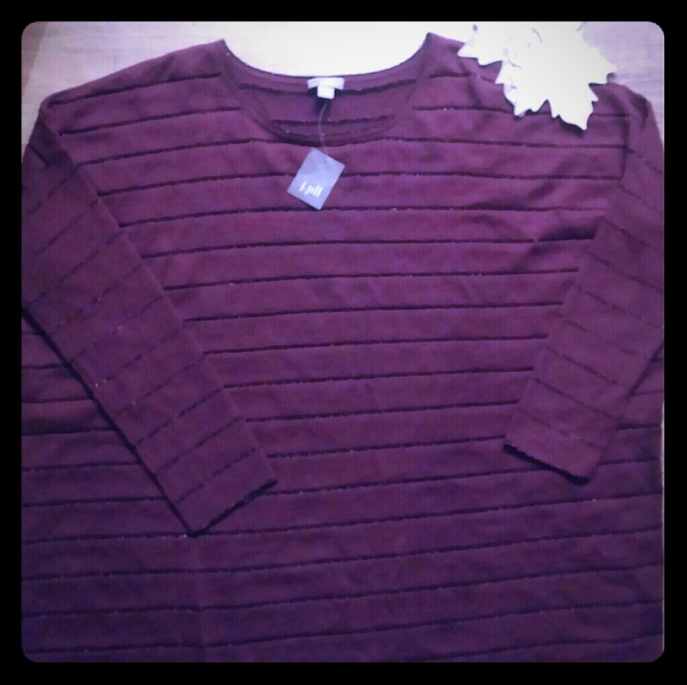 J.Jill Garnet Sweater