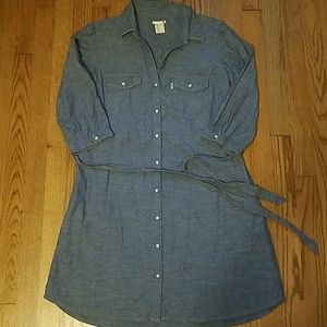 Levis Denim Shirt Dress
