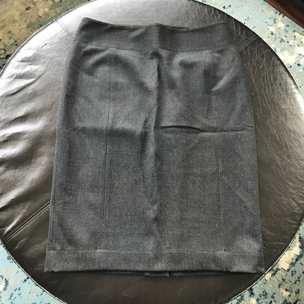 Express Pencil Skirt