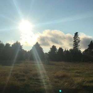 Meet your Posher, Noah