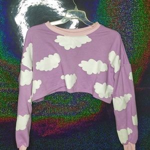 Purple Pink Cropped Pullover