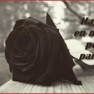 Meet your Posher, Edith