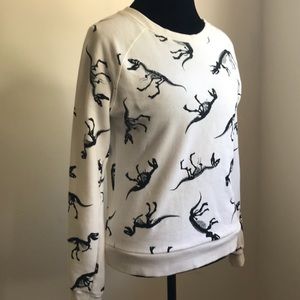 Dinosaur Sweatshirt