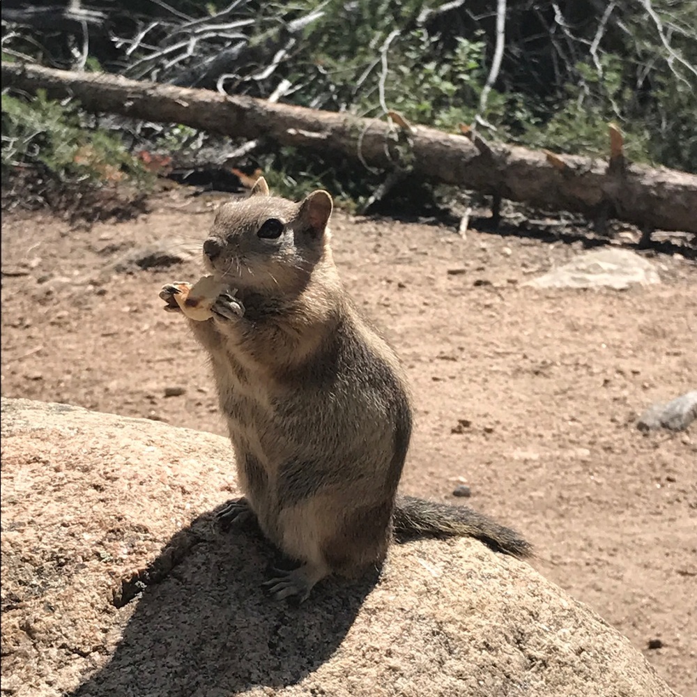 Meet your Posher, Hollie