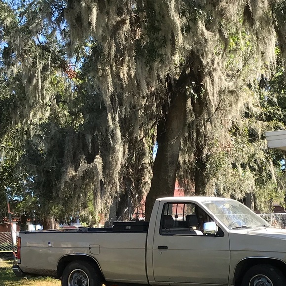 Meet your Posher, Richard - Picture 1 of 1