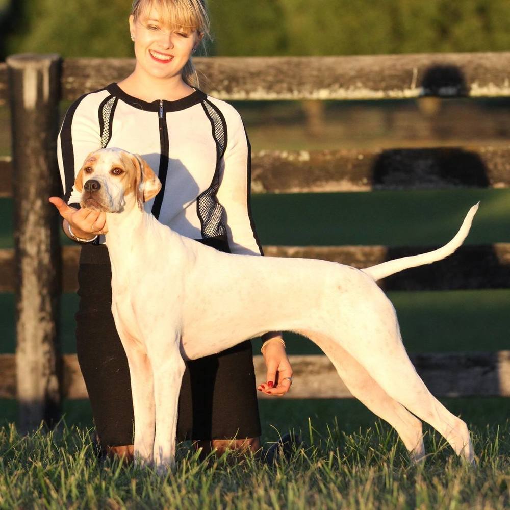 Meet your Posher, Lydia