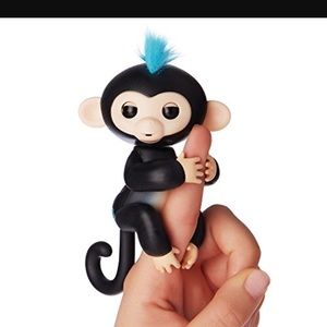 New Black Fingerling Monkey