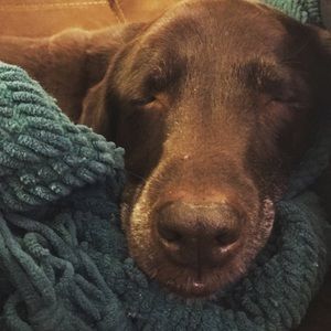 Meet your Posher, Jenna