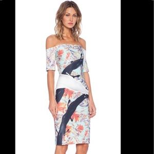 Clover canyon dress