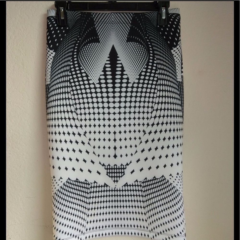Clover canyon skirt