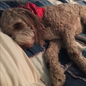 Meet your Posher, Heather