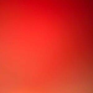 Meet your Posher, Nusrat