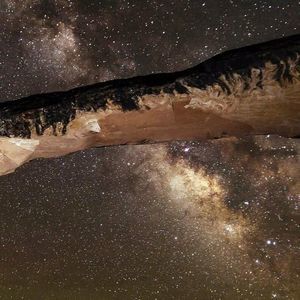 Meet your Posher, Jack