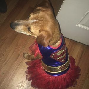 Meet your Posher, Krystin