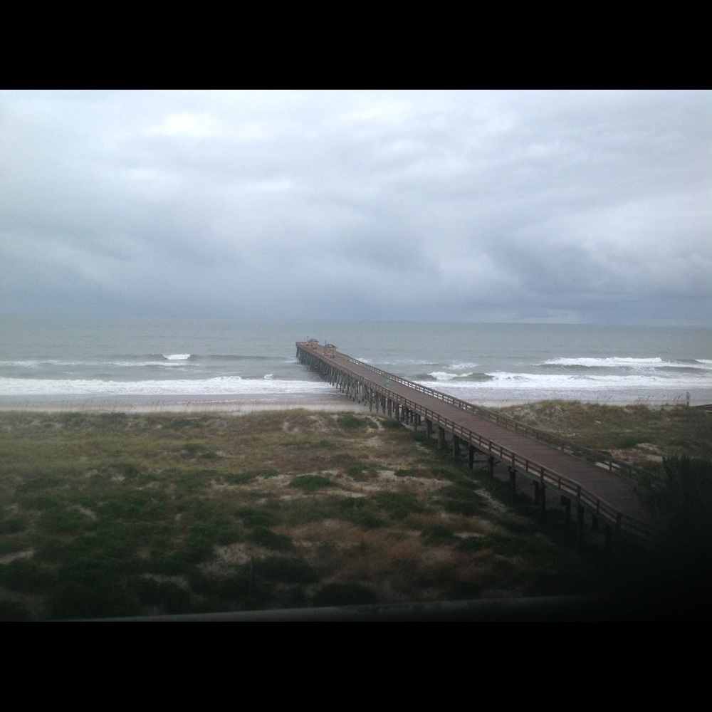 Meet your Posher, Terry