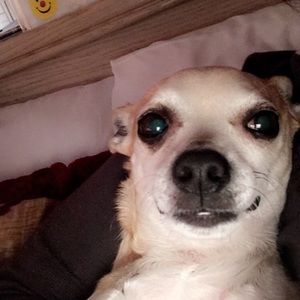 Meet your Posher, Johana