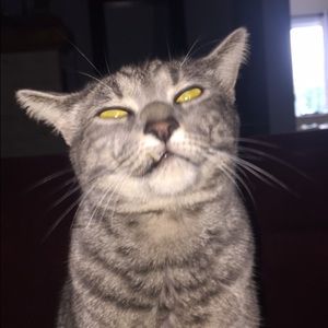 Meet your Posher, Karlee