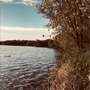 Meet your Posher, Sydney