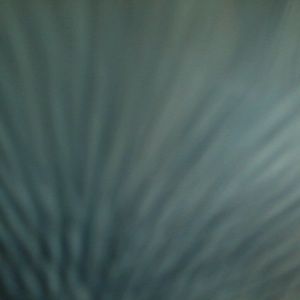 Meet your Posher, Kareemah