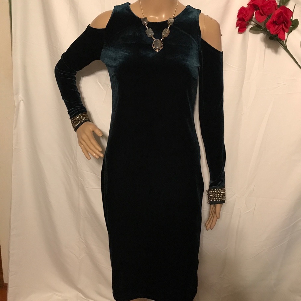 Established 1948 Woman SZ XS Green Velvet Dress