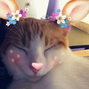 Meet your Posher, Carri