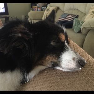 Meet your Posher, Daniel