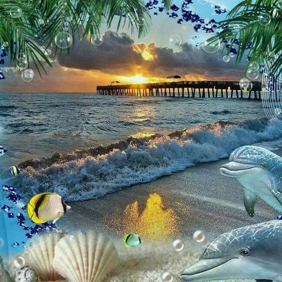 Meet your Posher, Deborah - Picture 1 of 1