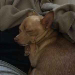 Meet your Posher, Seth