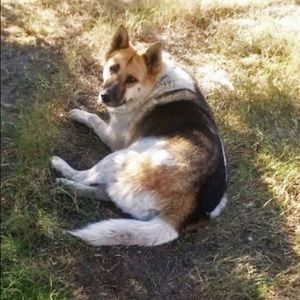 Meet your Posher, Diana