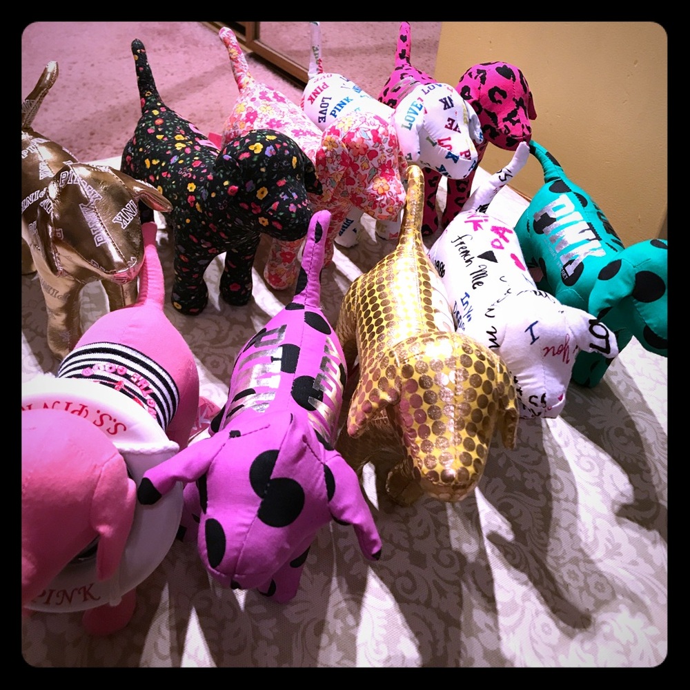 Victoria’s Secret PINK dogs 💕🐶
