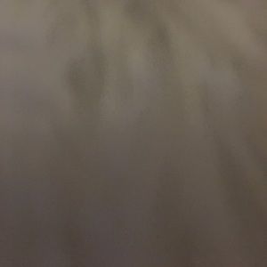 Meet your Posher, Alexa