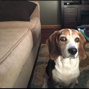 Meet your Posher, Kelly