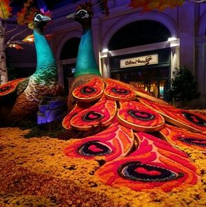 Meet your Posher, Tahira