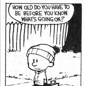 Meet your Posher, Abigail