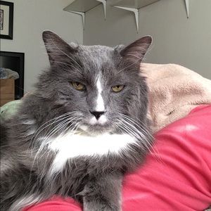 Meet your Posher, Ann