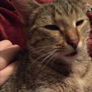 Meet your Posher, Abigail