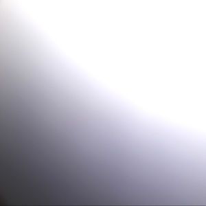 Meet your Posher, Riley