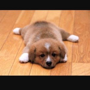 Meet your Posher, Neftali