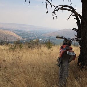 Meet your Posher, Dylan