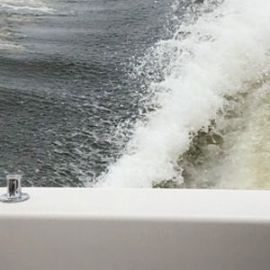 Meet your Posher, Brandie