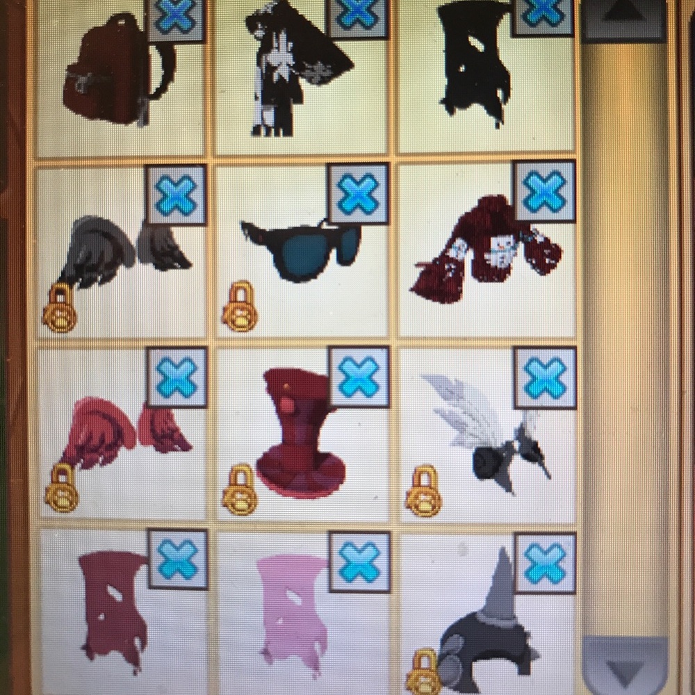 Animal Jam Valuables