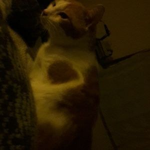 Meet your Posher, Dayna