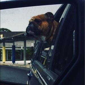 Meet your Posher, Kym