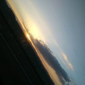 Meet your Posher, Daisy