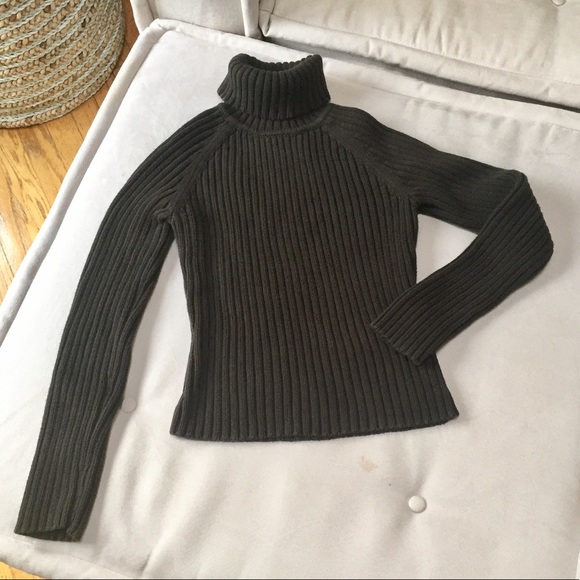 INC International Concepts Sweaters - INC Brown Cropped Turtleneck &Bonus Express T-Neck