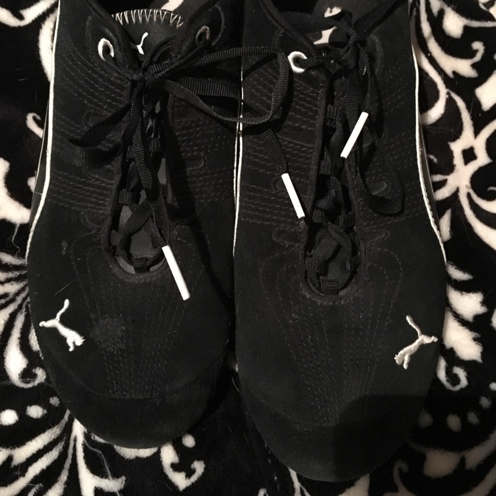 Pumas