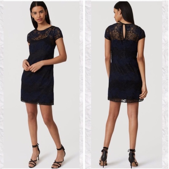 Loft lace shift dress - Picture 2 of 5