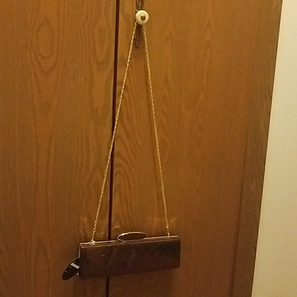 Brown Shiny Clutch