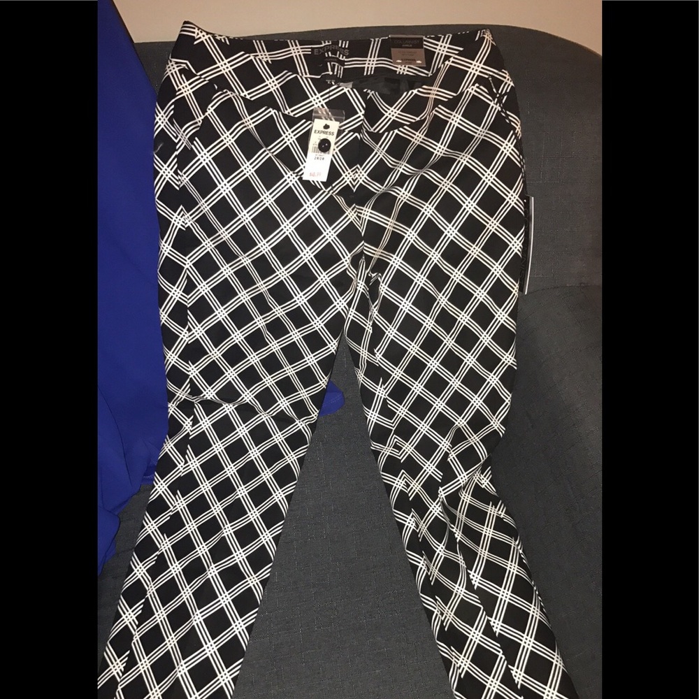 Express dress pants