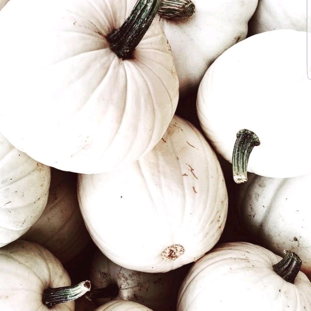 Meet your Posher, Angie